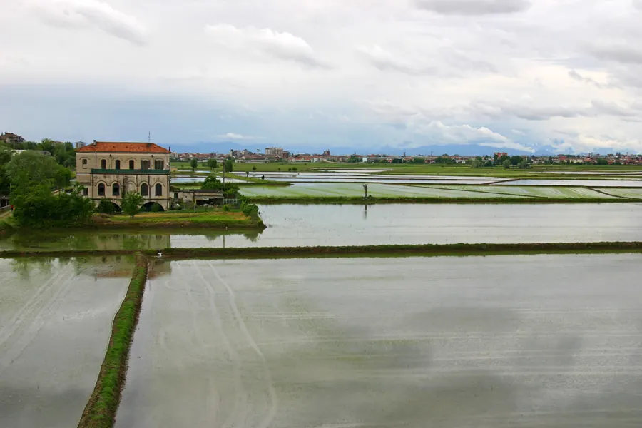 Risaie della Bassa Novarese